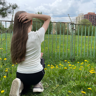 Статистика Дзен  Sofia_DIY