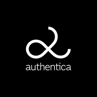 Статистика Дзен Authentica.ru