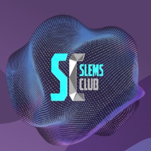 Статистика Дзен slemsclub