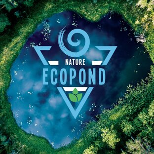 Статистика Дзен EcoPond • Строительство прудов