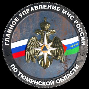 Статистика Дзен МЧС Тюменской области
