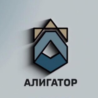 Статистика Дзен Юридический центр АлИгаТор