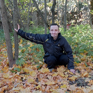 Статистика Дзен Andrey Ryabov 28
