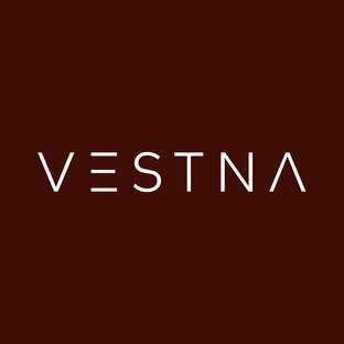 Статистика Дзен VESTNA