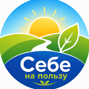 Статистика Дзен Себе на пользу | Здоровье и ЗОЖ