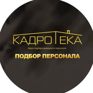 Статистика Дзен Бюро подбора домашнего персонала "Кадротека"