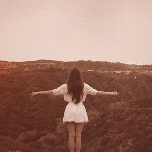 Дзен GLOBAl статистика