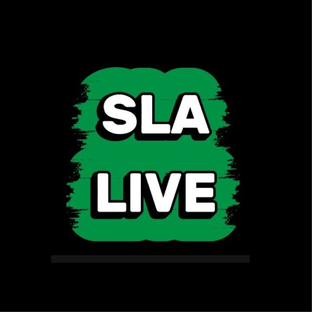Статистика Дзен SLA LIVE - мои путешествия антидепрессанты