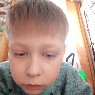 Статистика Дзен Лего про