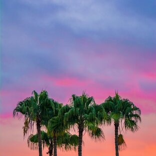 Дзен 50 оттенков странствий статистика