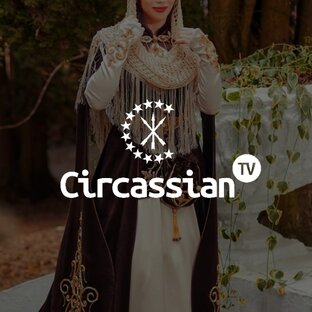 Статистика Дзен Circassian TV
