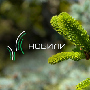 Статистика Дзен Озеленение и благоустройство - Нобили 