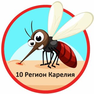 Статистика Дзен 10 Регион Карелия