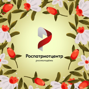 Статистика Дзен Роспатриотцентр
