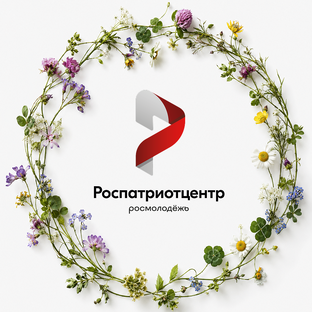 Статистика Дзен Роспатриотцентр