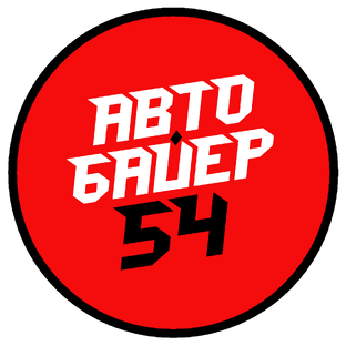 Статистика Дзен Авто Байер 54
