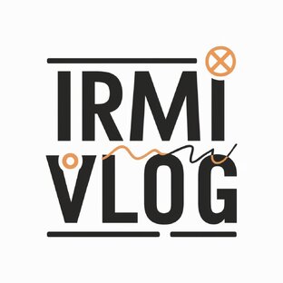 Статистика Дзен IRMI VLOG