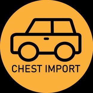 Статистика Дзен Chest Import