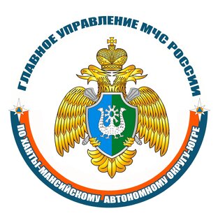 Статистика Дзен МЧС Югры