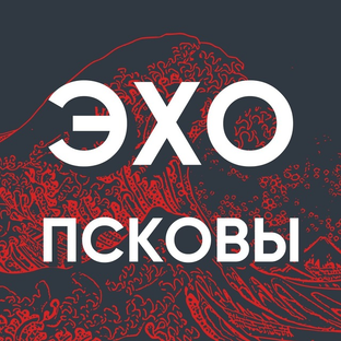 Статистика Дзен Эхо Псковы