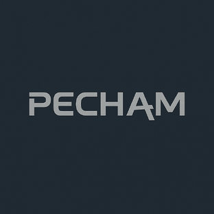 Статистика Дзен PECHAM