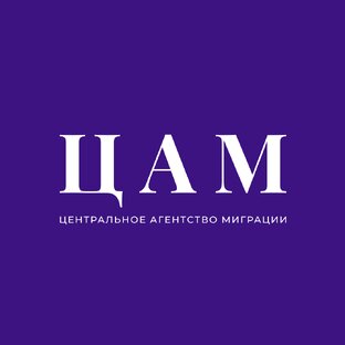 Статистика Дзен Центральное Агентство Миграции | Гражданство РФ
