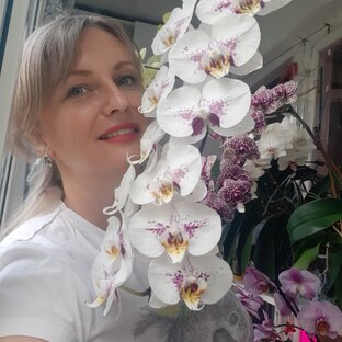 Статистика Дзен Дерзкий автор
