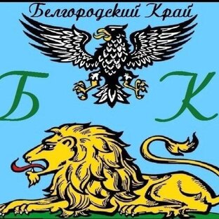 Статистика Дзен Белгородский край ♥️ БК.