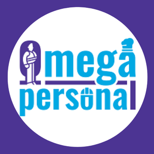 Статистика Дзен Mega-Personal PRO Кадровые решения для бизнеса