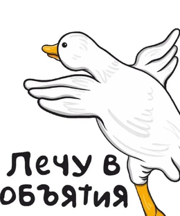 Статистика Дзен 🌸Лечу в объятия🌸
