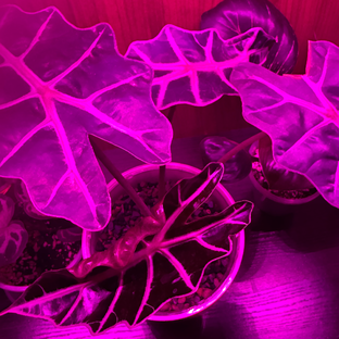 Дзен Мой уют статистика