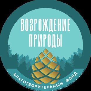 Статистика Дзен Благотворительный фонд "Возрождение природы"