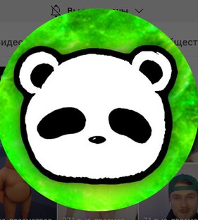 Дзен Panda Shorts ✓ статистика