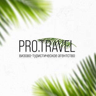 Статистика Дзен Визово-туристическое агентство ProTravel