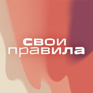 Статистика Дзен Свои Правила