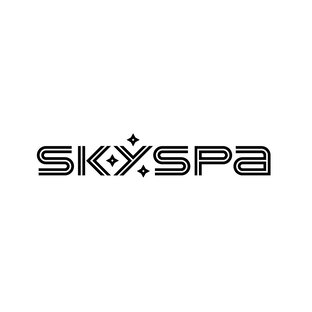 Статистика Дзен SkySpa 