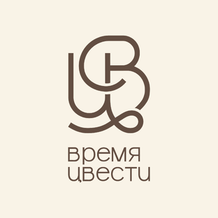 Статистика Дзен ВРЕМЯ ЦВЕСТИ