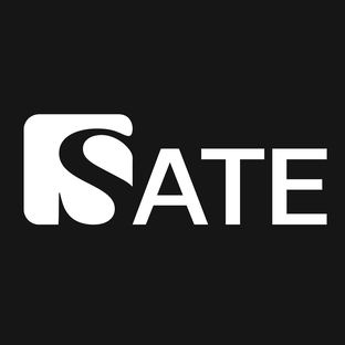 Статистика Дзен SATE