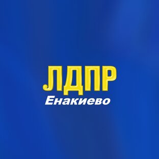 Статистика Дзен ЛДПР | ЕНАКИЕВО | ДНР | РОССИЯ