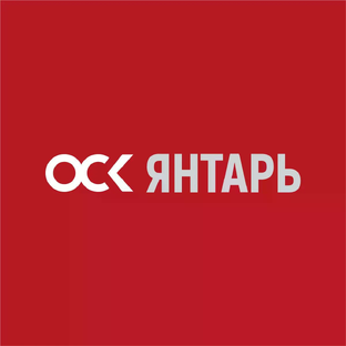 Статистика Дзен ОСК | Янтарь