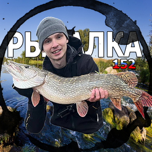 Статистика Дзен Рыбалка 152