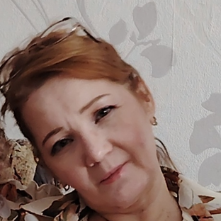 Статистика Дзен Надежда Соловьева