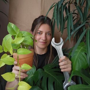 Статистика Дзен Smart_jungle