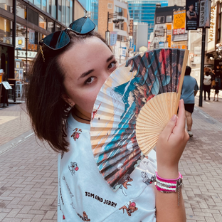 Статистика Дзен Alina Tokyo