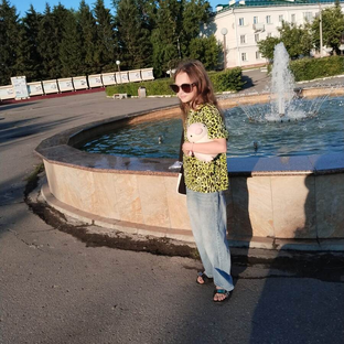 Статистика Дзен Домовёнок Куся
