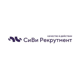 Статистика Дзен СиВи Рекрутмент || Рекрутинговое агентство