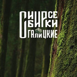 Статистика Дзен ЭКО-база Сибирские Галицкие