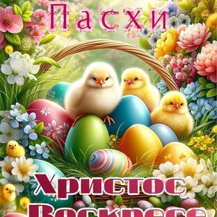 Дзен Утята статистика