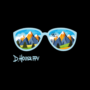 Статистика Дзен D.House FPV