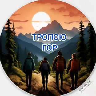 Статистика Дзен ТРОПОЮ ГОР